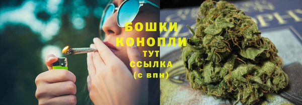мдпв Богородск