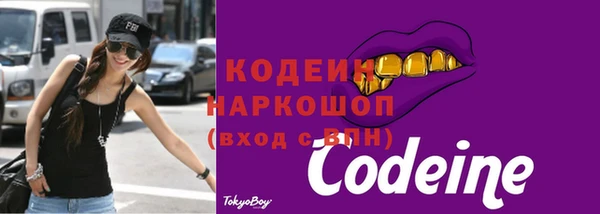 мдпв Богородск