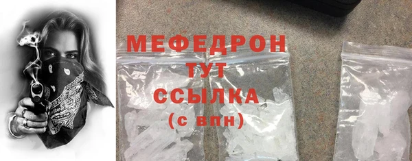 мдпв Богородск